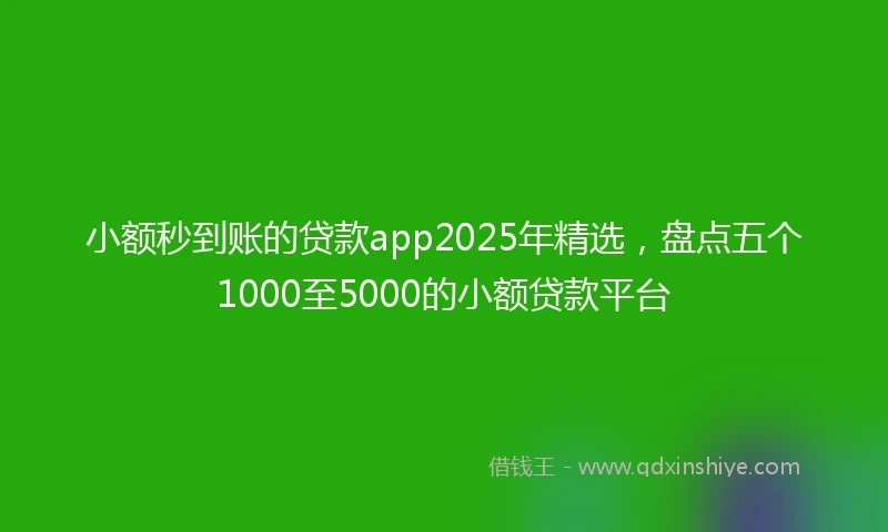 小额秒到账的贷款app2025年精选，盘点五个1000至5000的小额贷款平台