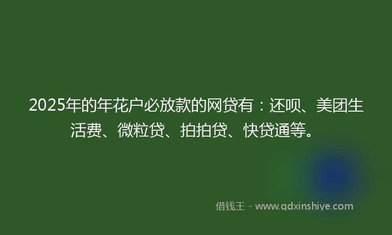 2025年的年花户必放款的网贷有：还呗、美团生活费、微粒贷、拍拍贷、快贷通等。