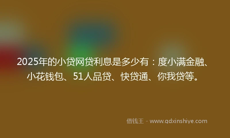 2025年的小贷网贷利息是多少有：度小满金融、小花钱包、51人品贷、快贷通、你我贷等。