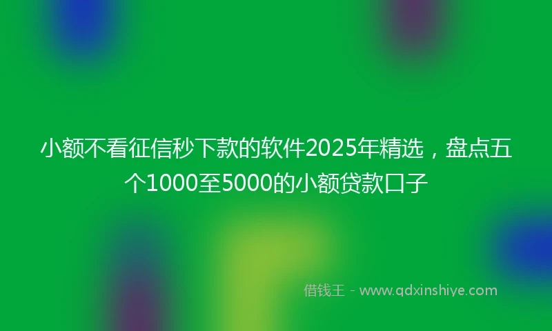 小额不看征信秒下款的软件2025年精选，盘点五个1000至5000的小额贷款口子