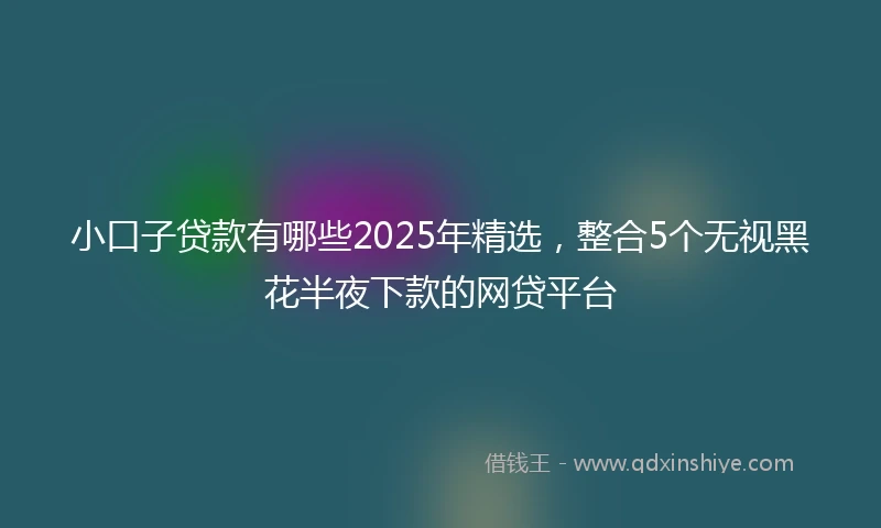 小口子贷款有哪些2025年精选,整合5个无视黑花半夜下款的网贷平台