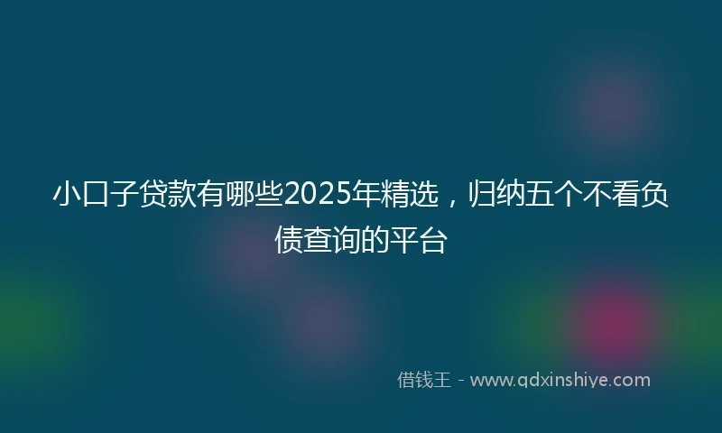 小口子贷款有哪些2025年精选,归纳五个不看负债查询的平台