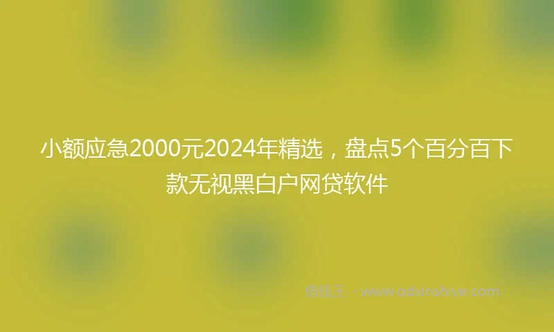 小额应急2000元2024年精选，盘点5个百分百下款无视黑白户网贷软件