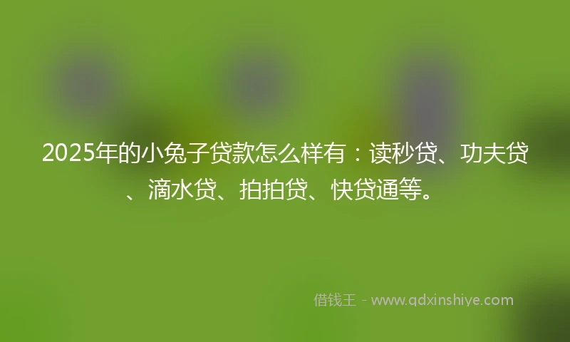 2025年的小兔子贷款怎么样有：读秒贷、功夫贷、滴水贷、拍拍贷、快贷通等。