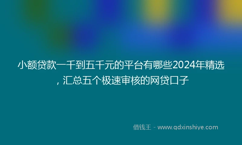 小额贷款一千到五千元的平台有哪些2024年精选，汇总五个极速审核的网贷口子