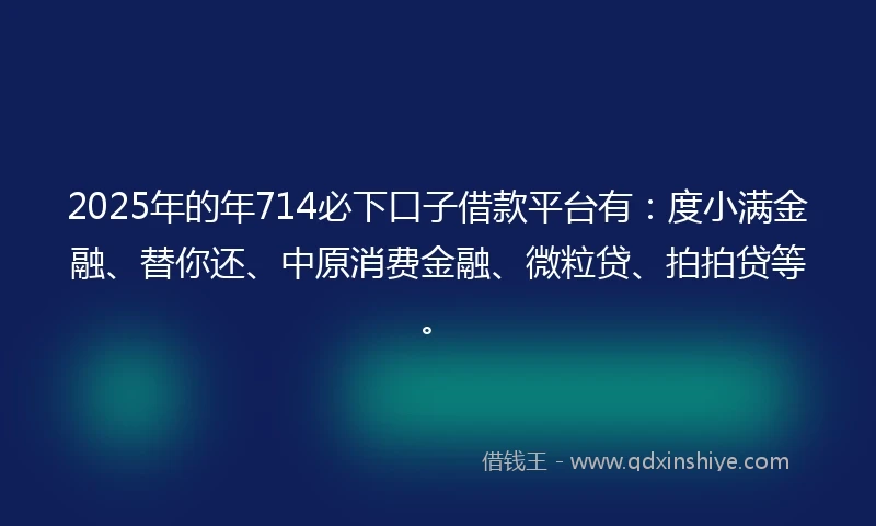 2025年的年714必下口子借款平台有：度小满金融、替你还、中原消费金融、微粒贷、拍拍贷等。