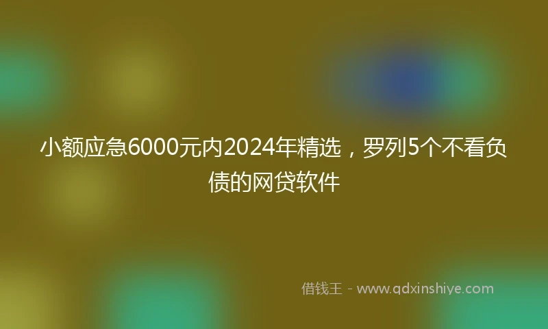 小额应急6000元内2024年精选，罗列5个不看负债的网贷软件