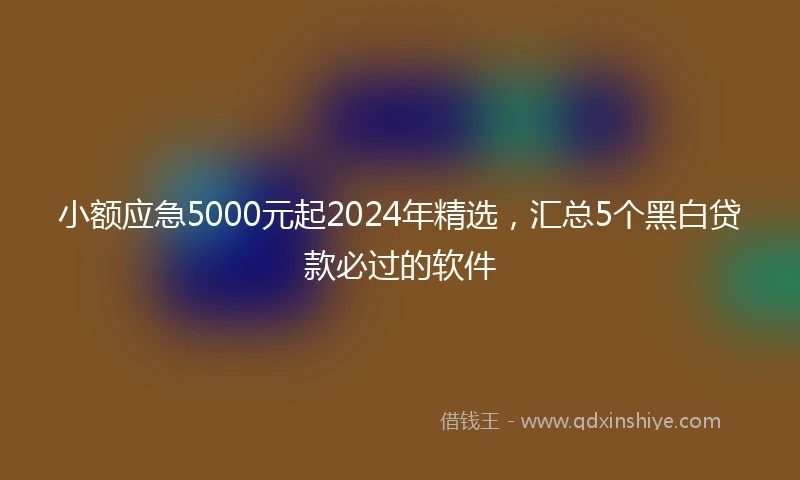 小额应急5000元起2024年精选，汇总5个黑白贷款必过的软件