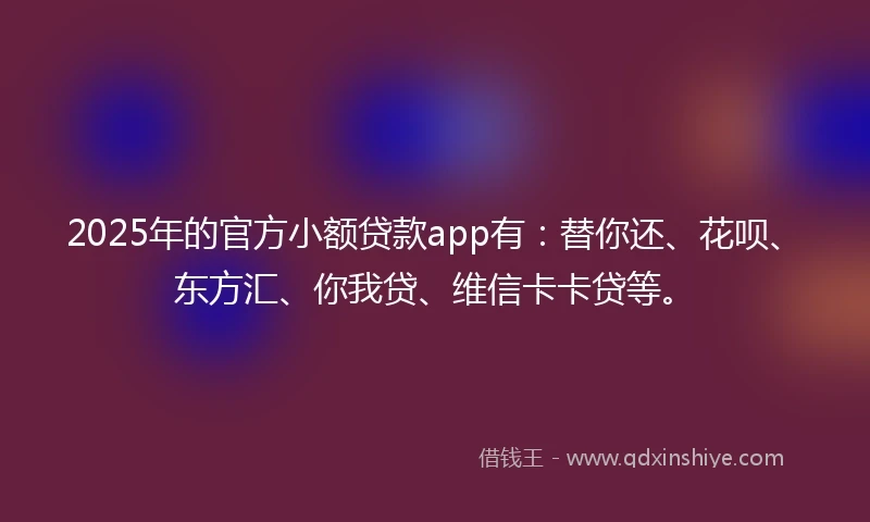 2025年的官方小额贷款app有：替你还、花呗、东方汇、你我贷、维信卡卡贷等。