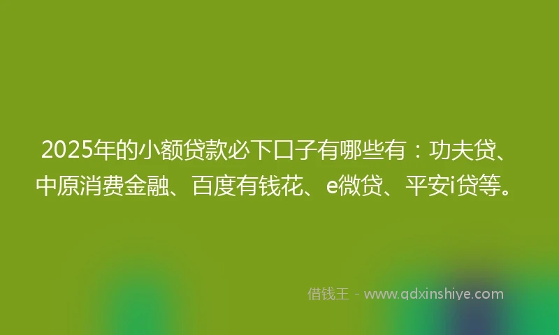 2025年的小额贷款必下口子有哪些有：功夫贷、中原消费金融、百度有钱花、e微贷、平安i贷等。