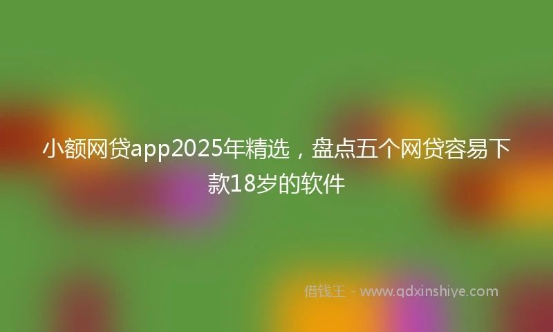 小额网贷app2025年精选，盘点五个网贷容易下款18岁的软件