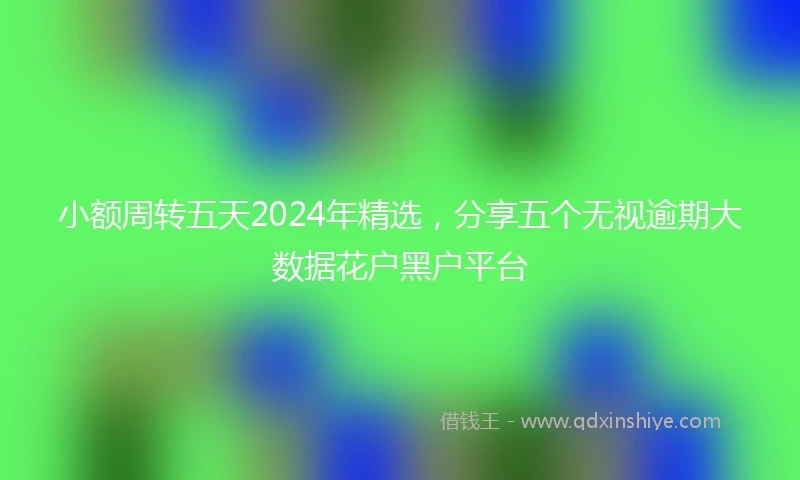 小额周转五天2024年精选，分享五个无视逾期大数据花户黑户平台
