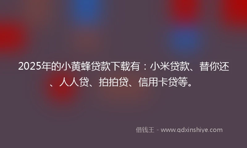 2025年的小黄蜂贷款下载有：小米贷款、替你还、人人贷、拍拍贷、信用卡贷等。