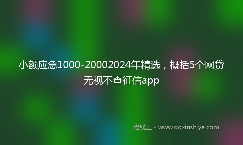 小额应急1000-20002024年精选，概括5个网贷无视不查征信app