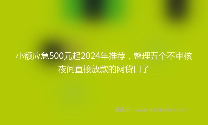 小额应急500元起2024年推荐，整理五个不审核夜间直接放款的网贷口子