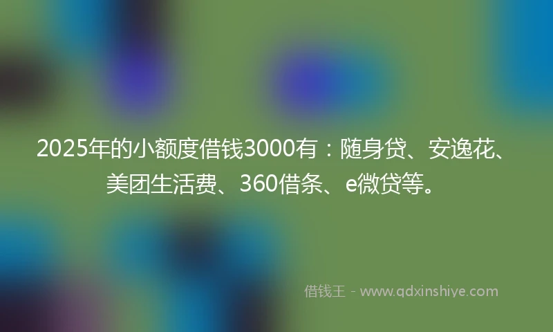 2025年的小额度借钱3000有：随身贷、安逸花、美团生活费、360借条、e微贷等。