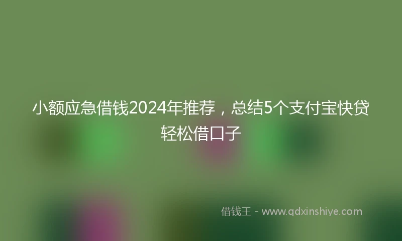 小额应急借钱2024年推荐，总结5个支付宝快贷轻松借口子