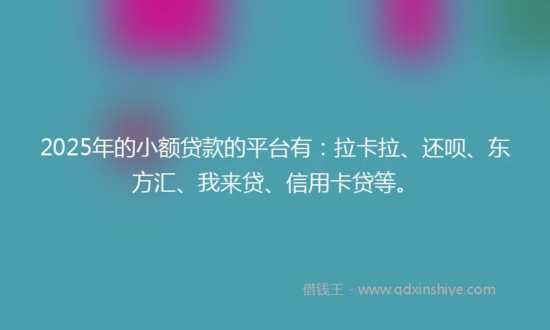 2025年的小额贷款的平台有：拉卡拉、还呗、东方汇、我来贷、信用卡贷等。