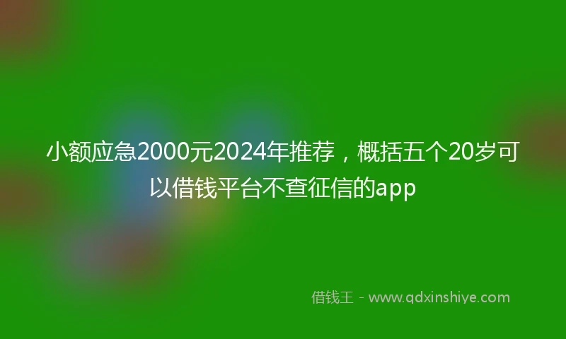 小额应急2000元2024年推荐，概括五个20岁可以借钱平台不查征信的app