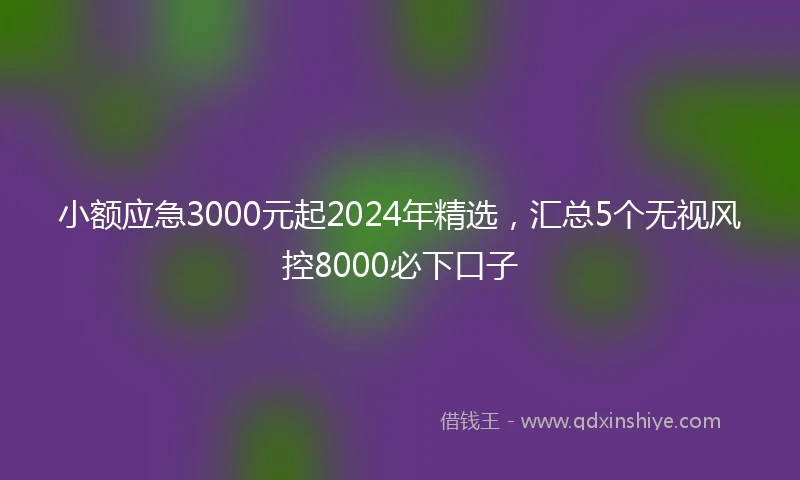 小额应急3000元起2024年精选，汇总5个无视风控8000必下口子
