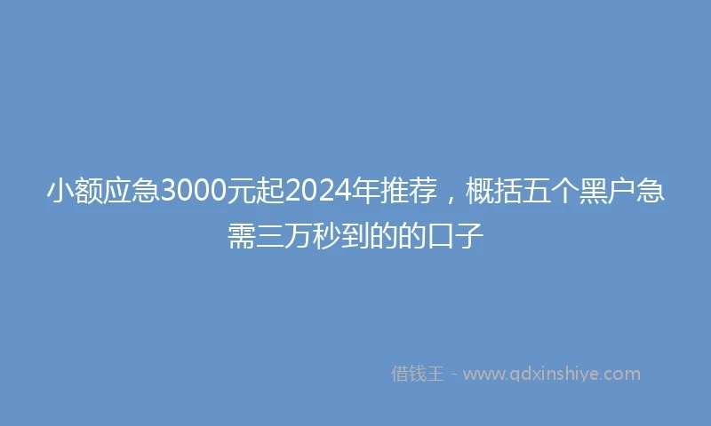 小额应急3000元起2024年推荐，概括五个黑户急需三万秒到的的口子
