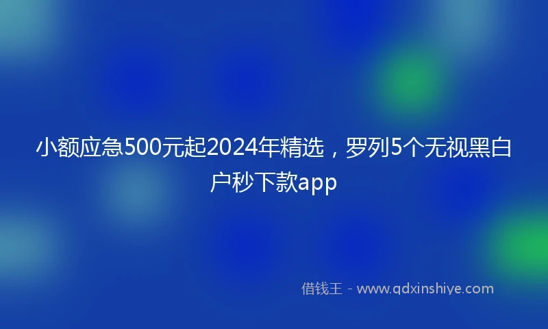 小额应急500元起2024年精选，罗列5个无视黑白户秒下款app