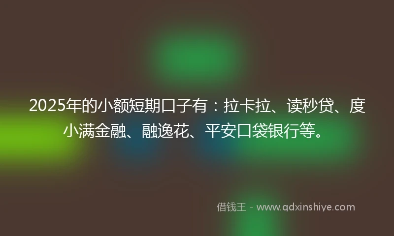 2025年的小额短期口子有：拉卡拉、读秒贷、度小满金融、融逸花、平安口袋银行等。