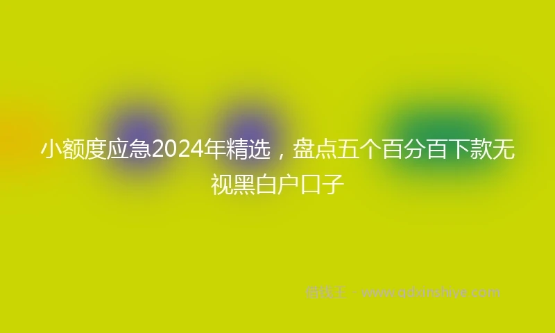 小额度应急2024年精选，盘点五个百分百下款无视黑白户口子