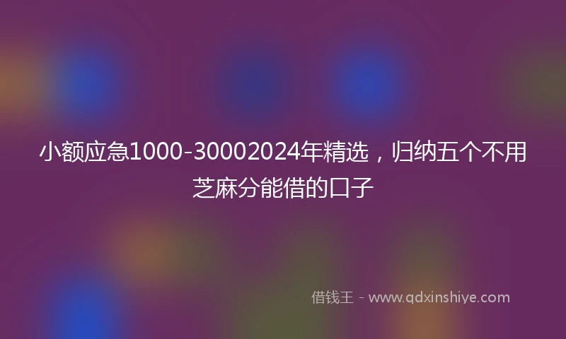小额应急1000-30002024年精选，归纳五个不用芝麻分能借的口子
