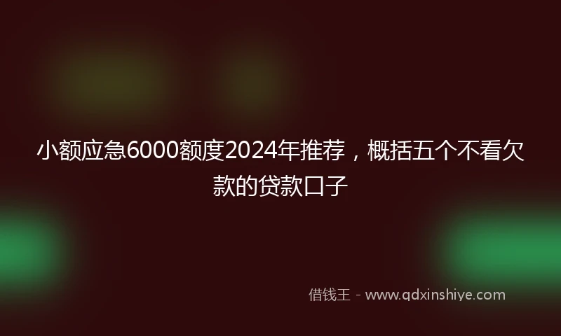 小额应急6000额度2024年推荐，概括五个不看欠款的贷款口子
