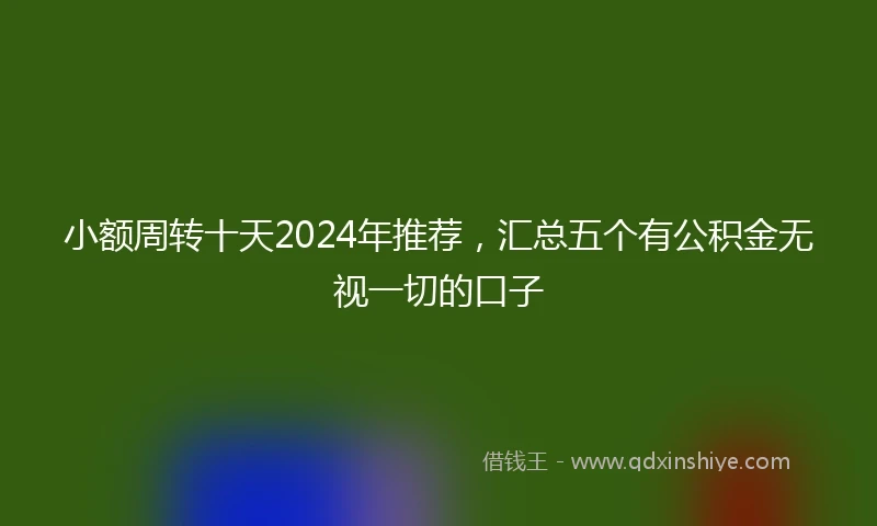小额周转十天2024年推荐，汇总五个有公积金无视一切的口子
