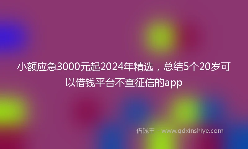 小额应急3000元起2024年精选，总结5个20岁可以借钱平台不查征信的app