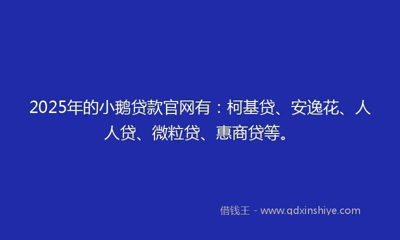 2025年的小鹅贷款官网有:柯基贷、安逸花、人人贷、微粒贷、惠商贷等。