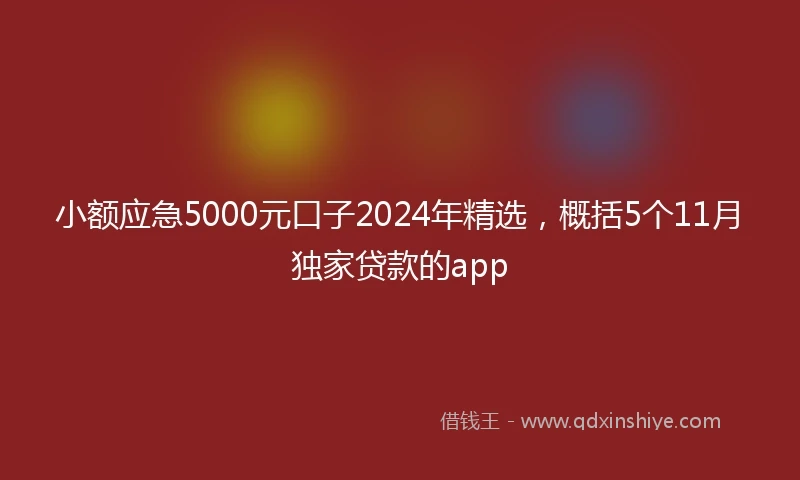 小额应急5000元口子2024年精选，概括5个11月独家贷款的app