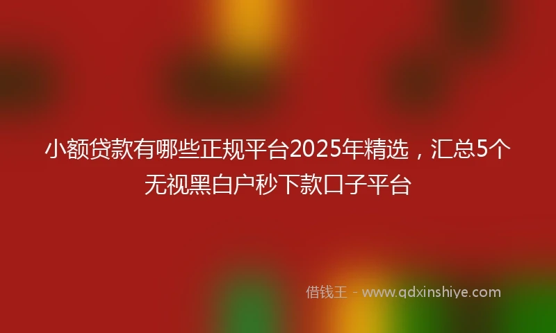 小额贷款有哪些正规平台2025年精选，汇总5个无视黑白户秒下款口子平台