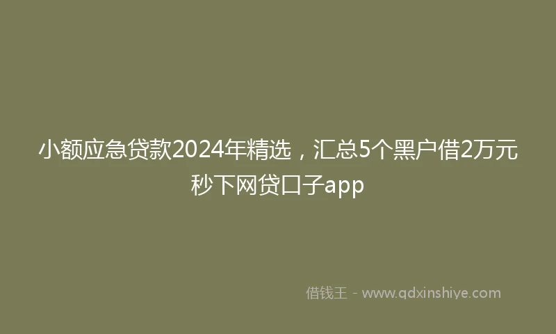 小额应急贷款2024年精选，汇总5个黑户借2万元秒下网贷口子app
