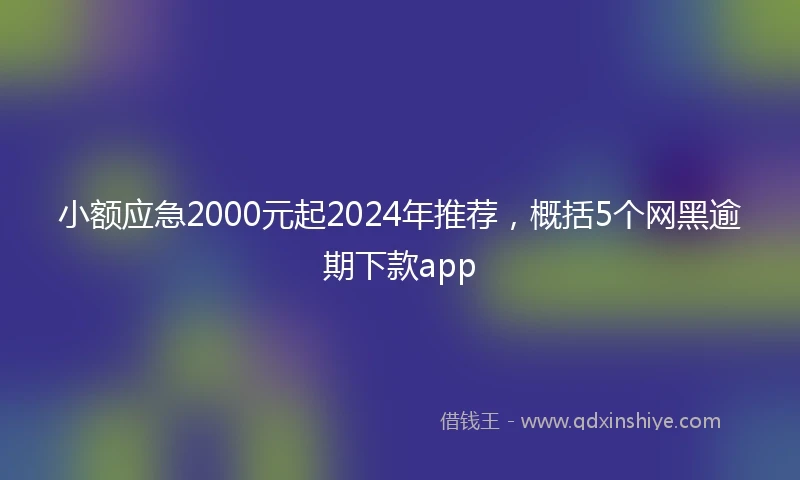 小额应急2000元起2024年推荐，概括5个网黑逾期下款app