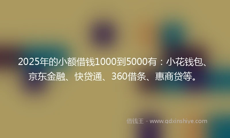 2025年的小额借钱1000到5000有：小花钱包、京东金融、快贷通、360借条、惠商贷等。