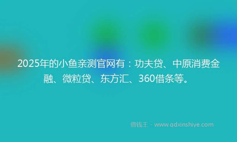 2025年的小鱼亲测官网有：功夫贷、中原消费金融、微粒贷、东方汇、360借条等。