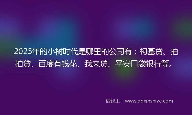 2025年的小树时代是哪里的公司有：柯基贷、拍拍贷、百度有钱花、我来贷、平安口袋银行等。