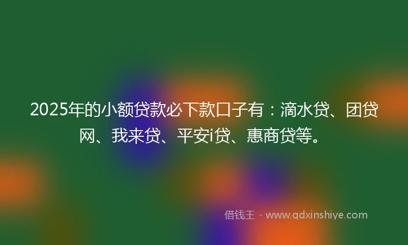 2025年的小额贷款必下款口子有：滴水贷、团贷网、我来贷、平安i贷、惠商贷等。