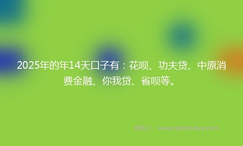 2025年的年14天口子有：花呗、功夫贷、中原消费金融、你我贷、省呗等。
