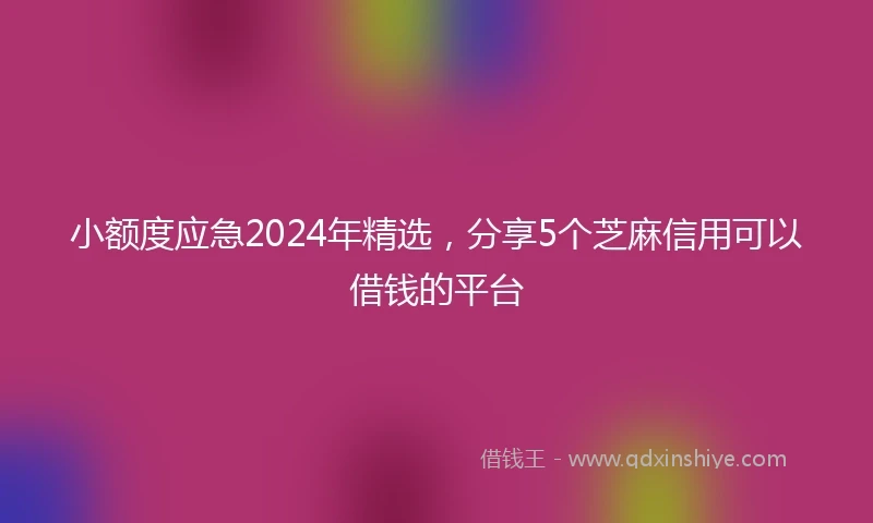小额度应急2024年精选，分享5个芝麻信用可以借钱的平台