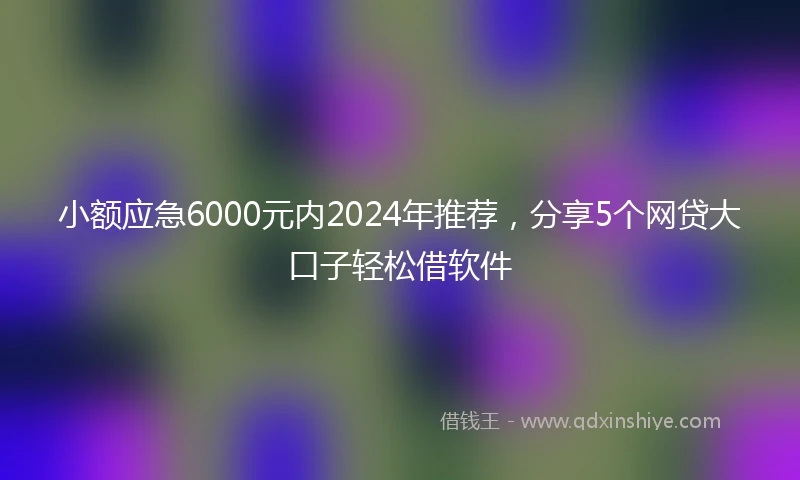 小额应急6000元内2024年推荐，分享5个网贷大口子轻松借软件