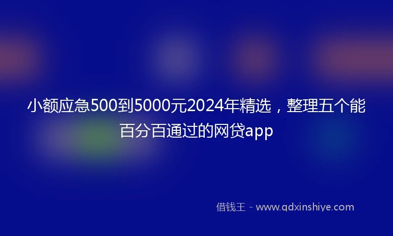 小额应急500到5000元2024年精选，整理五个能百分百通过的网贷app