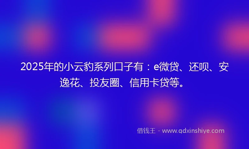 2025年的小云豹系列口子有：e微贷、还呗、安逸花、投友圈、信用卡贷等。