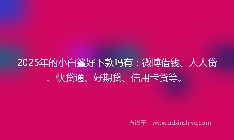 2025年的小白鲨好下款吗有:微博借钱、人人贷、快贷通、好期贷、信用卡贷等。