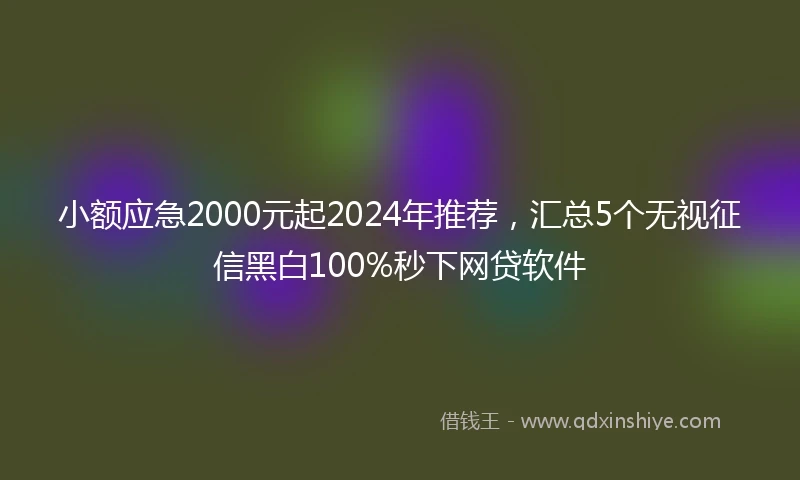小额应急2000元起2024年推荐，汇总5个无视征信黑白100%秒下网贷软件
