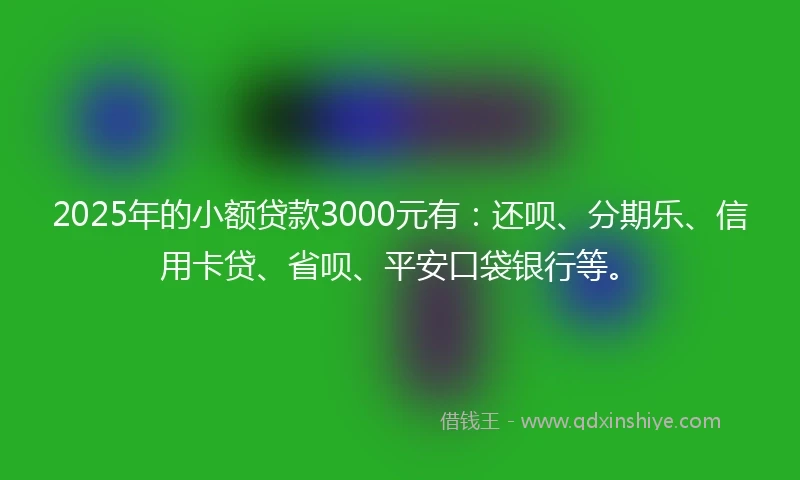 2025年的小额贷款3000元有：还呗、分期乐、信用卡贷、省呗、平安口袋银行等。