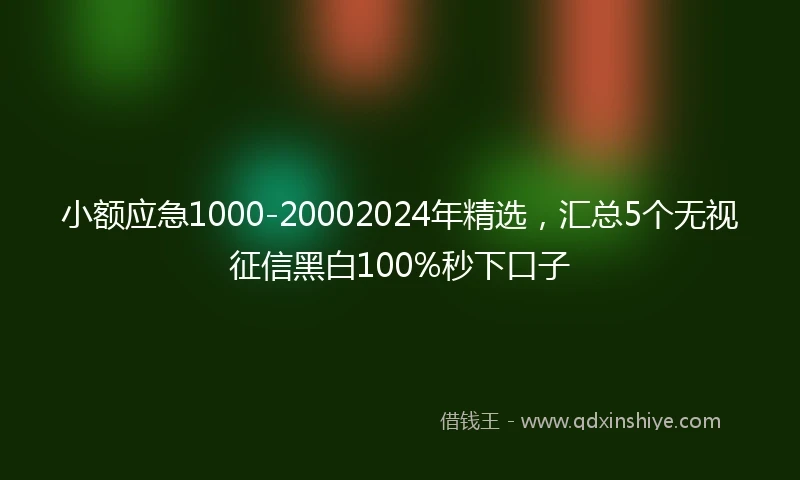 小额应急1000-20002024年精选，汇总5个无视征信黑白100%秒下口子